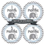 Months in Motion 381 Monthly Baby Stickers Baby Boy Elephants Months 1-12