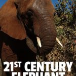 21st Century Elephant