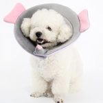 Yarssir Recovery Elizabethan Pet Dog Cat E-Collar Cone Breathable Soft Edge for Surgery, Anti-Bite Lick, Wound Healing (Elephant, M)