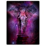 Throw Blankets Fleece Blanket for Sofa Bed Mandala Elephant India Style Galaxy Nebula Book 60″ x 80″