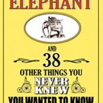 How to Buy an Elephant: And 38 Other Things You Never Knew You Wanted to Know