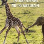The Baby Elephant & The Baby Giraffe