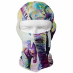 Tesdfk Elephant Canvas Artwork Winter Tactical Full Face Mask Windproof Balaclava Hood for Men and Women