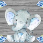 OFILA Customized Baby Shower Backdrop 5x3ft Cute Elephant Photography Background Wood Texture Gender Reveal Party Decoration Girls Boys Baby Shower Photos Newborn Baby Portraits Video Studio Props