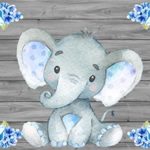 AOFOTO 5x3ft Cute Baby Elephant Backdrop Baby Shower Party Decoration Photography Background Sweet Watercolor Flower Cartoon Animal Photo Studio Props Newborn Infant Girl Kid Boy Child Birthday Banner