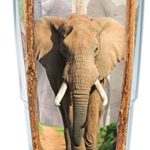 Tervis 1170056 Elephant Insulated Tumbler with Wrap and Blue Lid, 24oz, Clear