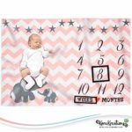 Baby Monthly Milestone Blanket for Girls | Perfect Baby Shower Gifts | 100% Quality Soft Fleece Baby Blanket | Large Personalized Elephant Background Newborn Photography Props | (Pink)