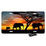 WONDERTIFY License Plate Elephant Family Walking on The Grassland Sunset Decorative Car Front License Plate,Vanity Tag,Metal Car Plate,Aluminum Novelty License Plate,6 X 12 Inch (4 Holes)