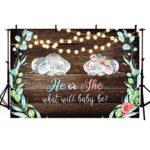 MEHOFOTO Rustic Elephant Gender Reveal Baby Shower He or She Photography Backdrop Boy or Girl Shiny Lights Green Leaves Red Floral Little Peanut Wood Photography Background Photo Banner 7x5ft