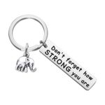 MYOSPARK Elephant Keychain Don’t Forget How Strong You are Inspirational Gift for Graduate Elephant Lovers (Elephant Keychain)