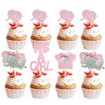 Suhome Pink Elephant Cake Topper Baby Elephant Themed Cupcake Picks It Is A Girl Baby Shower Birthday Party Decorations Supplies