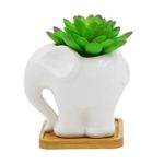Cuteforyou Cute Cartoon Animal Elephant Shaped Ceramic Succulent Cactus Vase Flower Pot with Bamboo Tray- White (Plant Not Included)