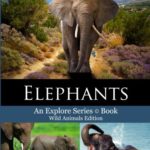 Elephants (Wild Animals Edition) (Volume 1)