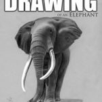 Clip: Time Lapse Drawing of an Elephant