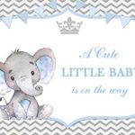 Baocicco 7x5ft Baby Shower Backdrop for Boys A Cute Little Baby is On The Way Cute Blue Little Elephant Banners Crown Photography Background Welcome Newborn Party Baptism Party Baby Photo Booth
