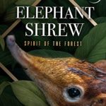 Elephant Shrew: Spirit of the Forest