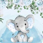 Baby Shower Background 5x3ft Baby Boy Shower Party Gift Baby Elephant Dessert Table Backdrop Watercolor Blue Floral W-1541