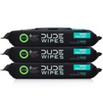 Dude Wipes Flushable Wet Wipes Dispenser, Mint Chill, 48 Count (Pack of 3) Scented Wet Wipes with Vitamin-E, Aloe, Eucalyptus & Tea Tree Oils for at-Home Use, Septic and Sewer Safe