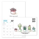 Gag Gifts – 2020 Calendar for Funny White Elephant Gag Gift Exchange/Christmas, Large 11″ x 17″ When Open, Joke Present with Beautiful Photos of Cactus, Sturdy Paper