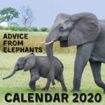 Advice From Elephants Calendar 2020: December 2019 – December 2020 With Elephant Inspirational Quotes