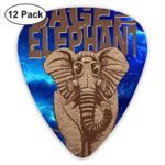 Cage The Elephant Featured Unique Medium Hard Guitar Picks 12 Pieces for Electric Guitars,Acoustic Guitars, Mandolin and Bass
