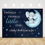 Baby Shower Backdrop Twinkle Twinkle Little Star Baby Shower Background for Boy Girl 7X5ft Moon Elephant Baby Shower Back Drops for Boys Oh Baby Backdrop for Babyshower Baby Shower Photo Booth Props