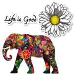 Empt Idio – Super Colorful Flower Lovely Elephant Removable Vinyl Stickers Skin for Laptop, Skateboard, Window, Car, Guitar, Luggage, Motorcycle, Helmet (3 PCS, Elephant, Daisy, and Life is Good)