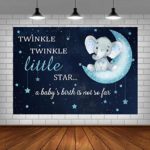 Boy Elephant Baby Shower Photo Backdrop BlueTwinkle Twinkle Little Star Party Background Little Prince Newborn Baby Party Decorations 5X3ft