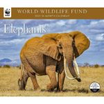 2020 Elephants WWF Wall Calendar, by Calendar Ink