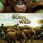 IMAX Born to Be Wild