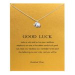 Hundred River Good Luck Elephant Necklace Birthday Gift Necklace with Message Card Gift Card (elephant sliver style4)