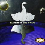 Elephants Into Swans