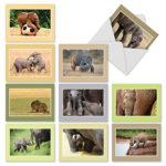 10 Elephant ‘Tiny Tusks’ Thank You Cards with Envelopes 4 x 5.12 inch, Adorable Photos of Baby Elephants – Boxed Animal Thank You Greeting Note Cards, Bulk Set of Note Cards M1628TY