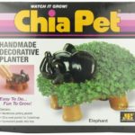 Chia Pet Elephant with Seed Pack, Decorative Pottery Planter, Easy to Do and Fun to Grow, Novelty Gift, Perfect for Any Occasion