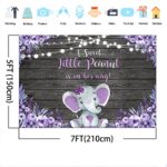 Avezano Purple Elephant Baby Shower Backdrop Rustic Lavender Floral Little Elephant Baby Shower Background A Sweet Little Peanut is on The Way Banner Decorations (7×5)