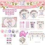 243 PCs Elephant Baby Shower Decorations for Girl, Fiesec Pink Elephant Its a Girl Supplies Backdrop Balloon Garland Banner Cutout Tablecloth Plate Napkin Cup Straw Knife Fork Spoon Pink Sliver