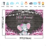 Avezano Pink Elephant Baby Shower Backdrop A Sweet Little Peanut is on Her Way Elephant Baby Shower Background Rustic Floral Girls Elephant Baby Shower Photoshoot Decorations (7×5, Pink)