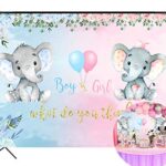 HUAYI Pink and Blue Elephant Photography Background Baby Shower Gender Reveal Backdrop Girl or Boy Party Banner Decoration Cake Table Banner Photo Booth Props 7x5ft W-2209
