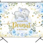 Sensfun Baby Boy Elephant Baby Shower Backdrop Blue Floral Cute Little Peanut is on The Way Photography Background Blue Elephant Photo Banner for Party Cake Table Decorations (5x3ft)