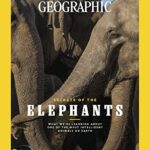 National Geographic USA May 2023 Secrets Of The Elephants (PB)