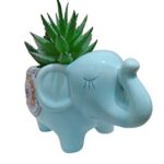 Everyday Better Life Cute Animal Shaped Ceramic Succulent Cactus Air Plant Flower Pots Planters-Plant Not Included (3.14 Inch Tall Elephant,Blue)