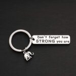 MYOSPARK Elephant Keychain Don’t Forget How Strong You Are Inspirational Gift Elephant Lovers Charms for jewellery(Elephant Keychain)