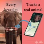 Fahlo Elephant Tracking Bracelet, Elastic, supports Save The Elephants, one size fits most for Men and Women (River Blue)