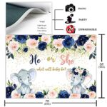 Avezano Navy and Blush Elephant Gender Reveal Backdrop He or She Navy Blue Blush Pink Floral Elephant Gender Reveal Photography Background Pregnancy Reveal Surprise Boy or Girl Party Decoration(7x5ft)