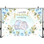 Mocsicka Baby Boy Elephant Baby Shower Backdrop Blue Floral Sweet Little Peanut is on His Way Photo Backdrops Cute Elephant Party Cake Table Photography Background (7x5ft)
