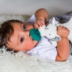Mary Meyer WubbaNub Infant Pacifier, 6-Inches, Afrique Elephant