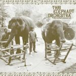 Thai Elephant Orchestra Thai Elephant Orchestra Re