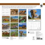Calendar Ink, Elephants WWF 2024 Wall Calendar