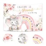 Imirell Elephant Baby Shower Backdrop 7Wx5H Feet A Sweet Little Peanut is on The Way Pink Floral Boho Rainbow Girl Party Decorations Photography Background Cake Table Photo Shoot Decor Props