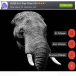 Elephant around the world 4k images and background 4k- ??? ? ?????? ?????